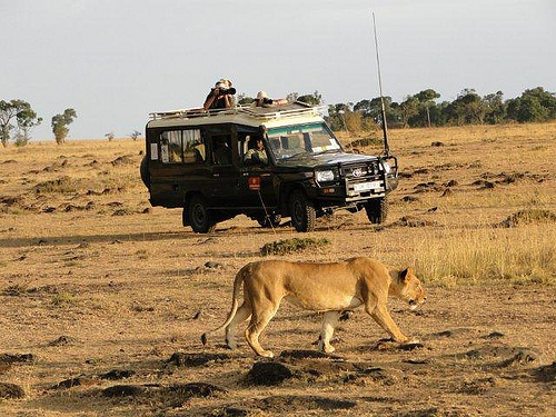 Safari-Companies-in-Kenya